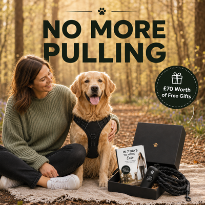 No-Pull Harness